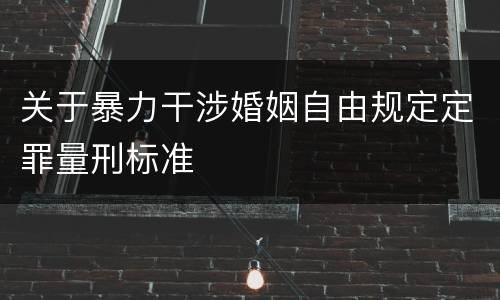 关于暴力干涉婚姻自由规定定罪量刑标准