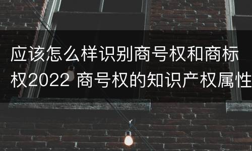 应该怎么样识别商号权和商标权2022 商号权的知识产权属性