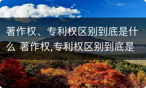 著作权、专利权区别到底是什么 著作权,专利权区别到底是什么样的