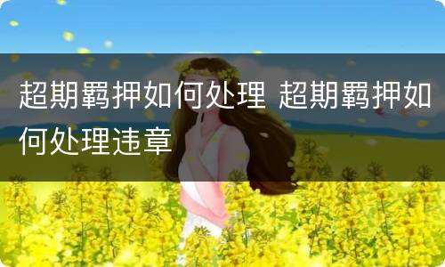 超期羁押如何处理 超期羁押如何处理违章