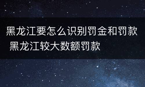 黑龙江要怎么识别罚金和罚款 黑龙江较大数额罚款