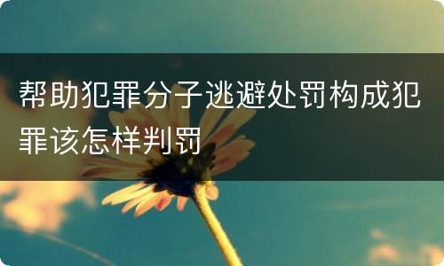 帮助犯罪分子逃避处罚构成犯罪该怎样判罚
