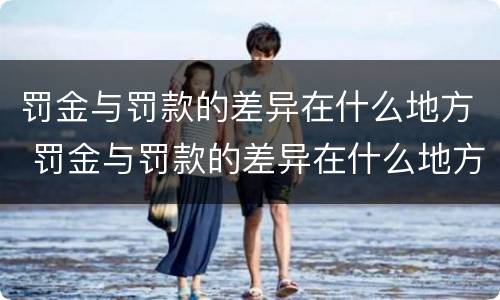 罚金与罚款的差异在什么地方 罚金与罚款的差异在什么地方查