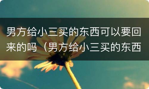 男方给小三买的东西可以要回来的吗（男方给小三买的东西能要回来吗）