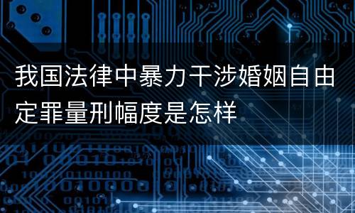 我国法律中暴力干涉婚姻自由定罪量刑幅度是怎样