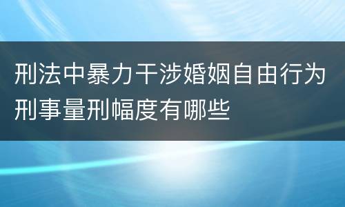 刑法中暴力干涉婚姻自由行为刑事量刑幅度有哪些