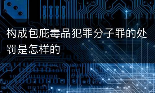 构成包庇毒品犯罪分子罪的处罚是怎样的