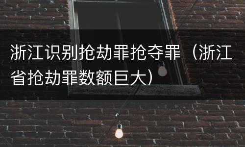 浙江识别抢劫罪抢夺罪（浙江省抢劫罪数额巨大）