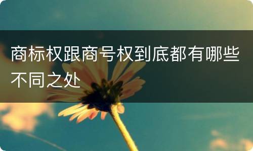 商标权跟商号权到底都有哪些不同之处