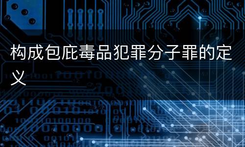 构成包庇毒品犯罪分子罪的定义