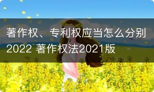 著作权、专利权应当怎么分别2022 著作权法2021版