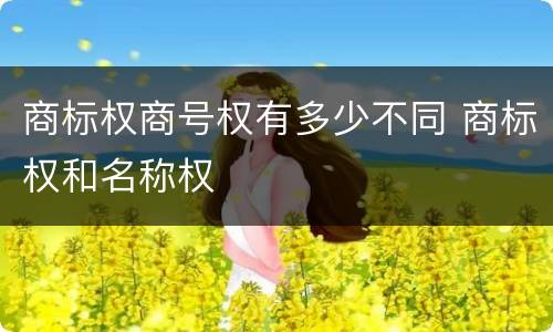 商标权商号权有多少不同 商标权和名称权