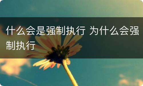 什么会是强制执行 为什么会强制执行