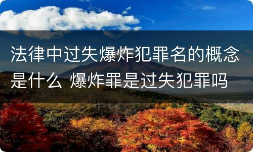 法律中过失爆炸犯罪名的概念是什么 爆炸罪是过失犯罪吗