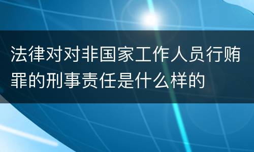 法律对对非国家工作人员行贿罪的刑事责任是什么样的