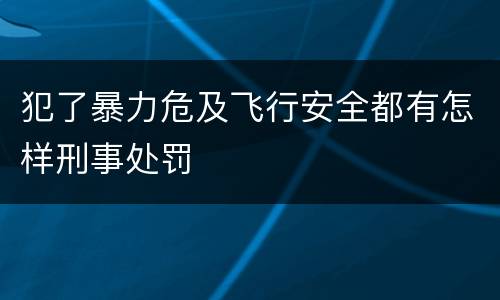 犯了暴力危及飞行安全都有怎样刑事处罚