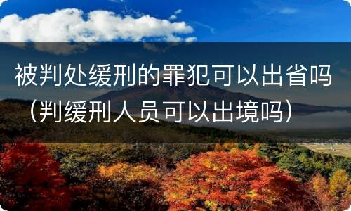 被判处缓刑的罪犯可以出省吗（判缓刑人员可以出境吗）
