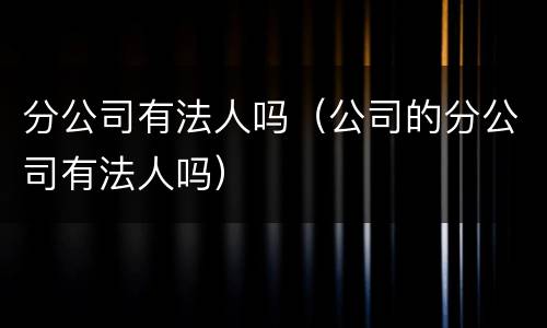 分公司有法人吗（公司的分公司有法人吗）