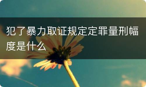 犯了暴力取证规定定罪量刑幅度是什么