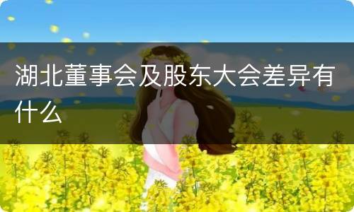 湖北董事会及股东大会差异有什么