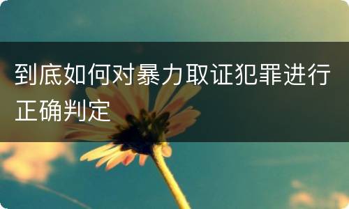 到底如何对暴力取证犯罪进行正确判定