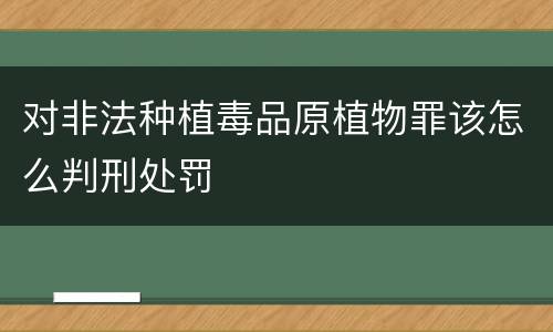 对非法种植毒品原植物罪该怎么判刑处罚
