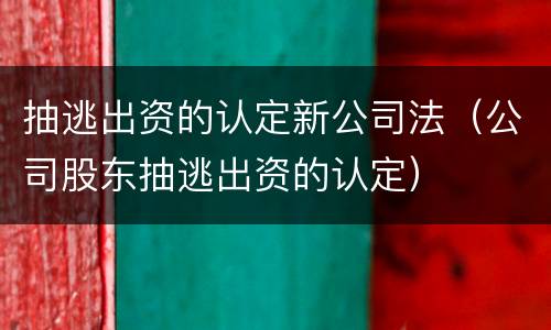 抽逃出资的认定新公司法（公司股东抽逃出资的认定）