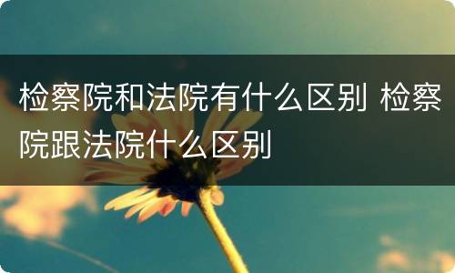 检察院和法院有什么区别 检察院跟法院什么区别