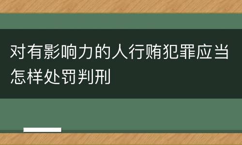 对有影响力的人行贿犯罪应当怎样处罚判刑