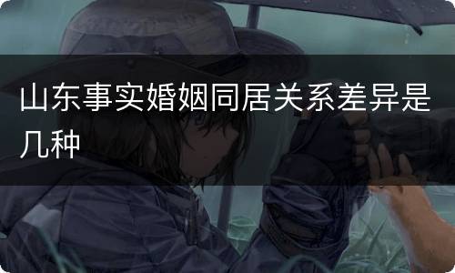 山东事实婚姻同居关系差异是几种