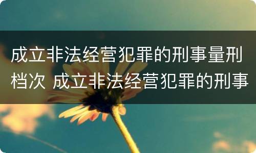 成立非法经营犯罪的刑事量刑档次 成立非法经营犯罪的刑事量刑档次为