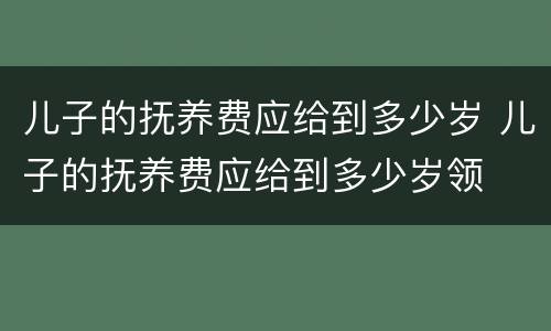 儿子的抚养费应给到多少岁 儿子的抚养费应给到多少岁领