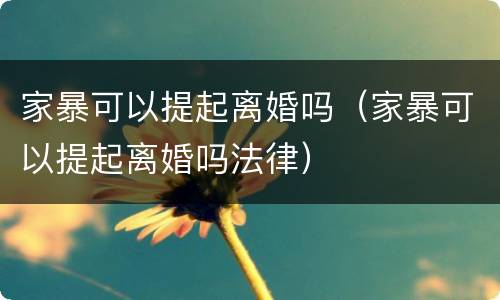 家暴可以提起离婚吗（家暴可以提起离婚吗法律）