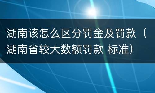 湖南该怎么区分罚金及罚款（湖南省较大数额罚款 标准）