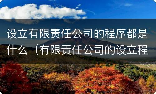 设立有限责任公司的程序都是什么（有限责任公司的设立程序是什么?）