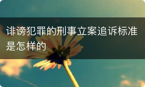 诽谤犯罪的刑事立案追诉标准是怎样的