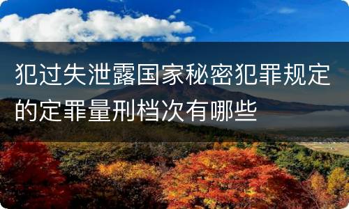 犯过失泄露国家秘密犯罪规定的定罪量刑档次有哪些