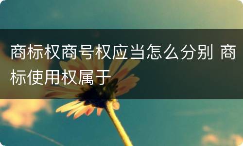 商标权商号权应当怎么分别 商标使用权属于
