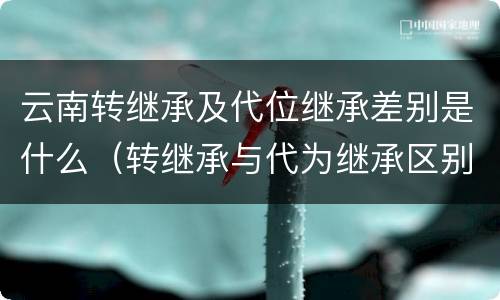 云南转继承及代位继承差别是什么（转继承与代为继承区别）