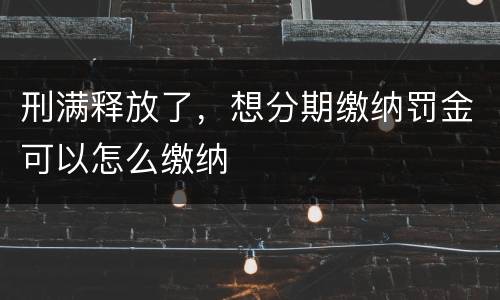 刑满释放了，想分期缴纳罚金可以怎么缴纳