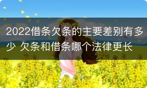 2022借条欠条的主要差别有多少 欠条和借条哪个法律更长