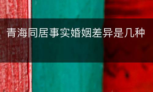 青海同居事实婚姻差异是几种