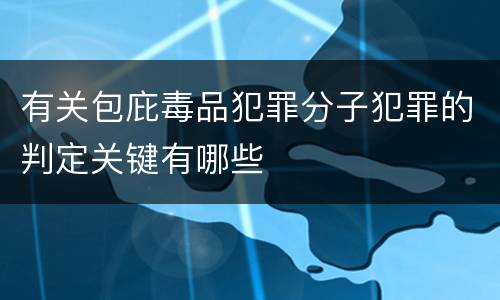 有关包庇毒品犯罪分子犯罪的判定关键有哪些