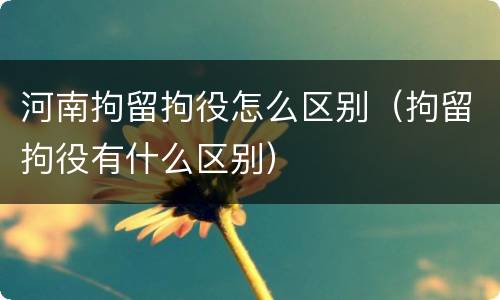 河南拘留拘役怎么区别（拘留拘役有什么区别）