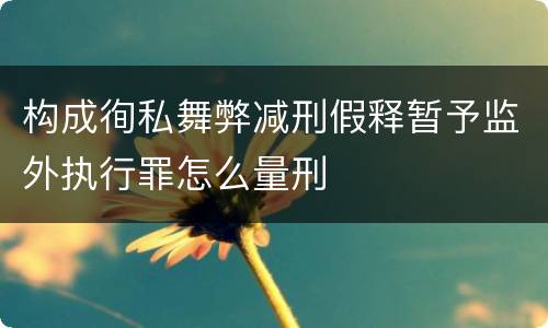 构成徇私舞弊减刑假释暂予监外执行罪怎么量刑