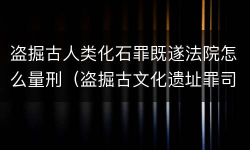 盗掘古人类化石罪既遂法院怎么量刑（盗掘古文化遗址罪司法解释）
