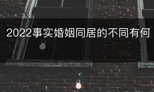 2022事实婚姻同居的不同有何