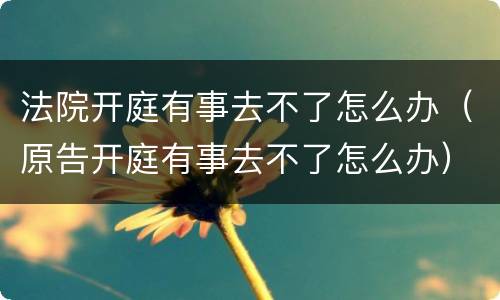 法院开庭有事去不了怎么办（原告开庭有事去不了怎么办）