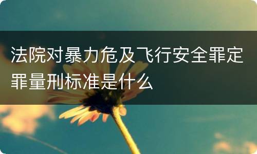 法院对暴力危及飞行安全罪定罪量刑标准是什么