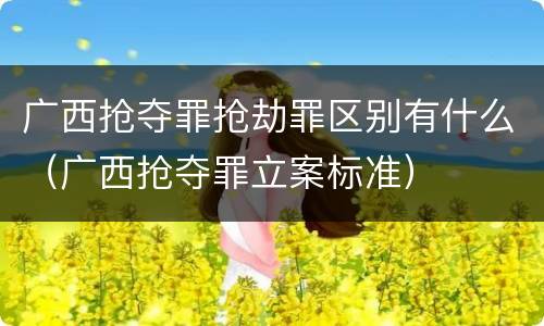 广西抢夺罪抢劫罪区别有什么（广西抢夺罪立案标准）